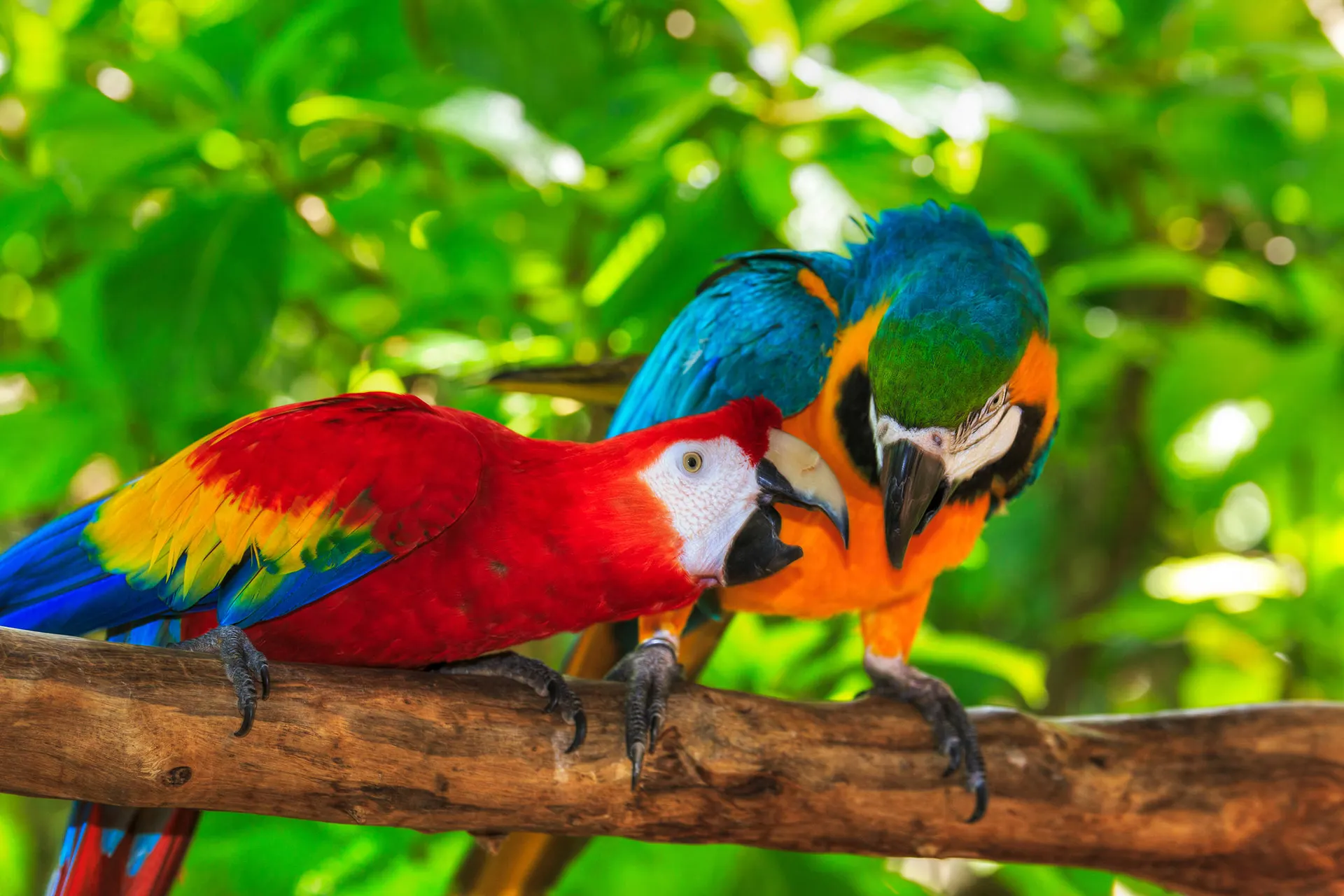 Costa Rica op het gemak