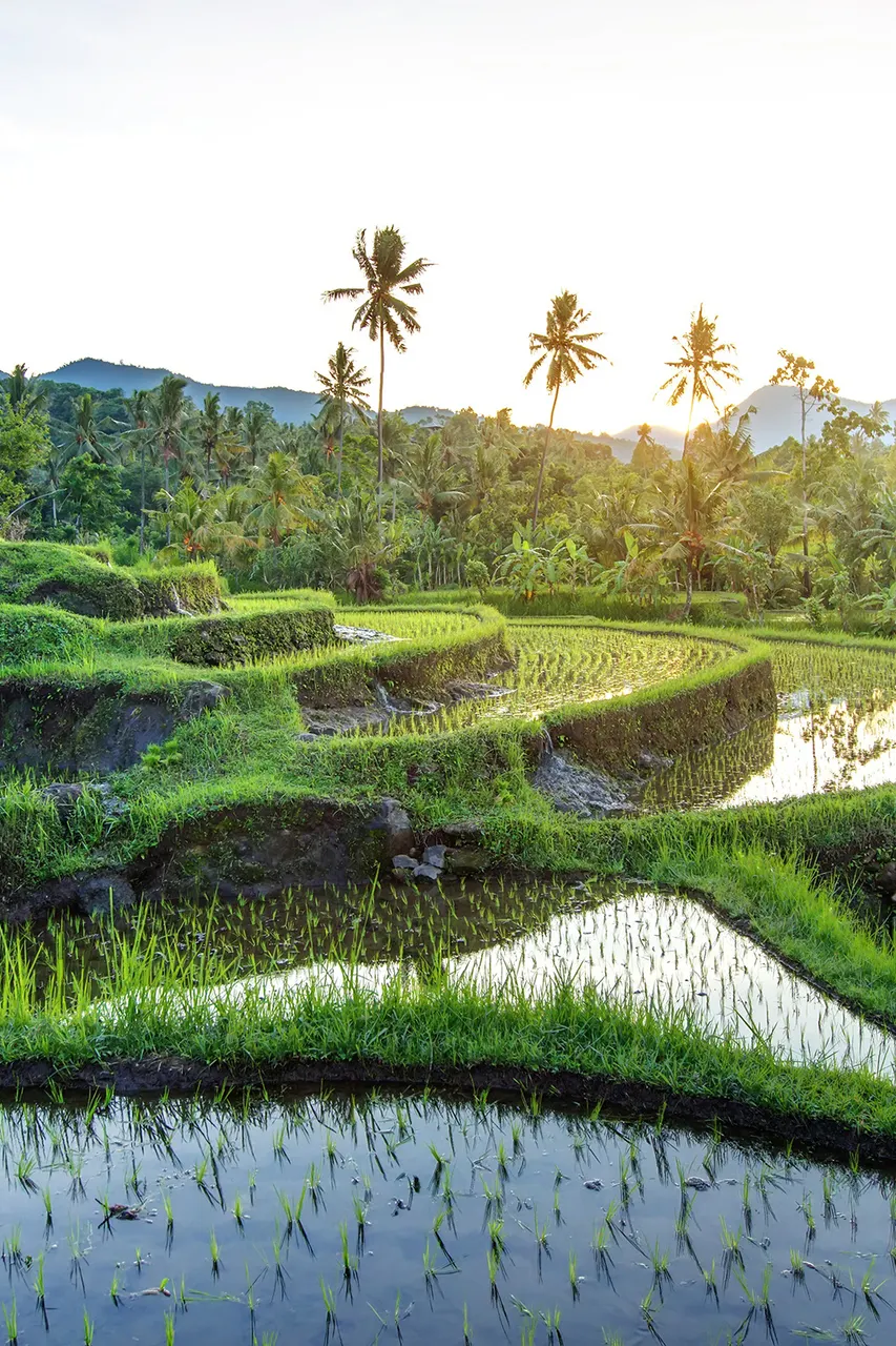 Vakantie Indonesië