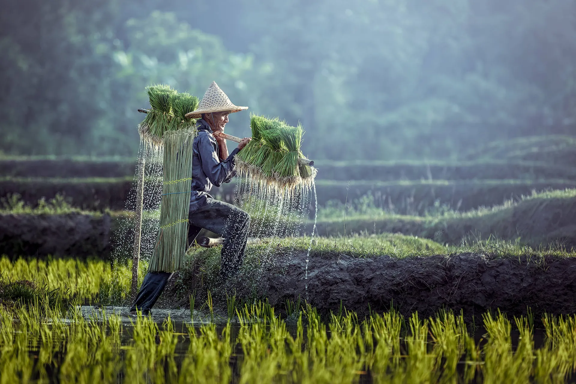 Nostalgisch Indonesië