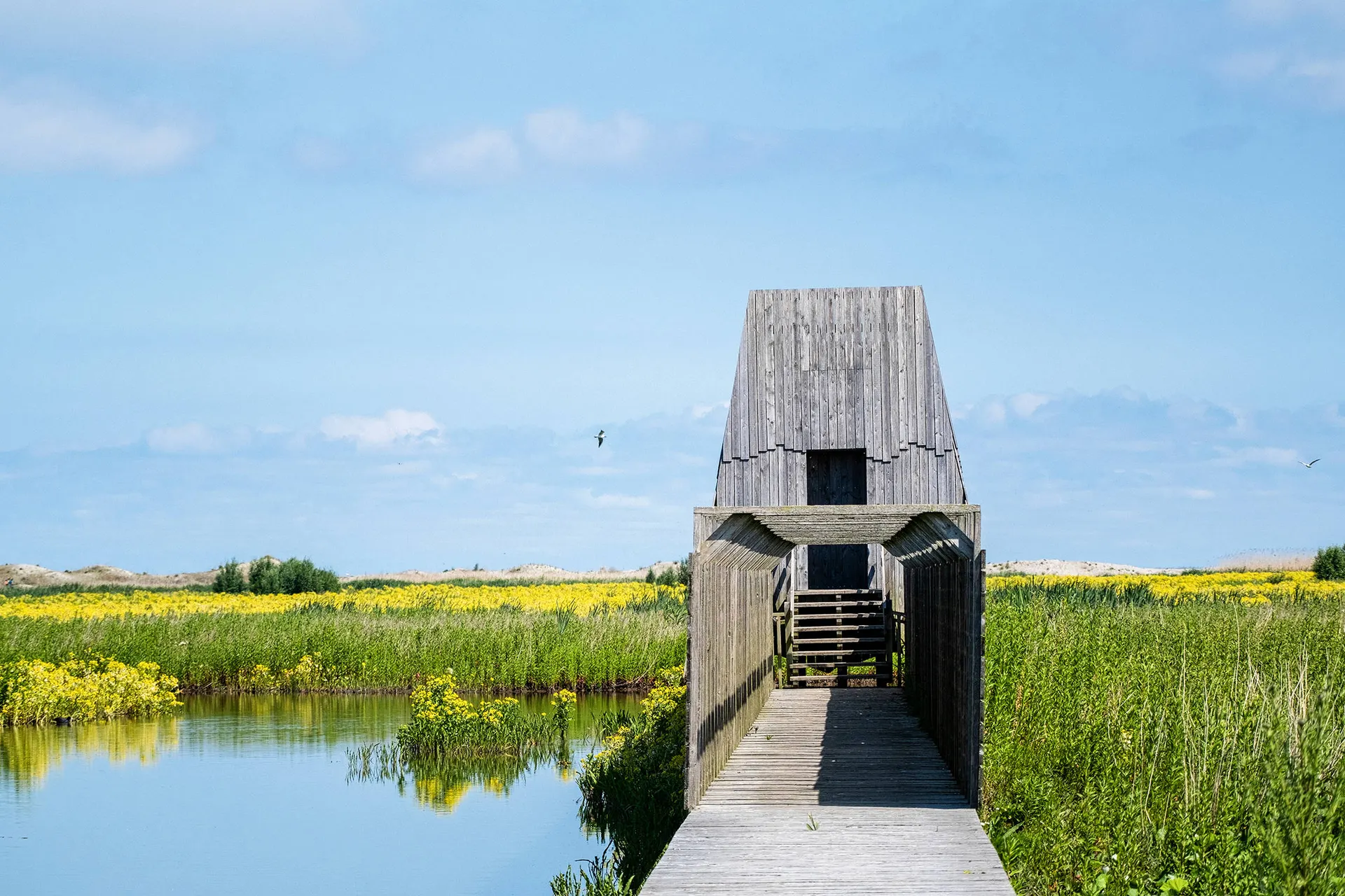 Markerwadden
