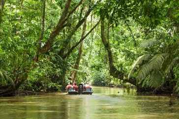Tortuguero NP