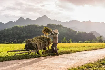 Mai Chau