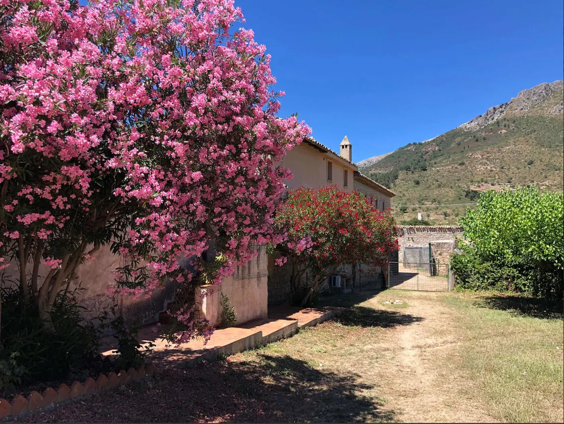 Vakantie, Sicilië, zonvakanties, agriturismo