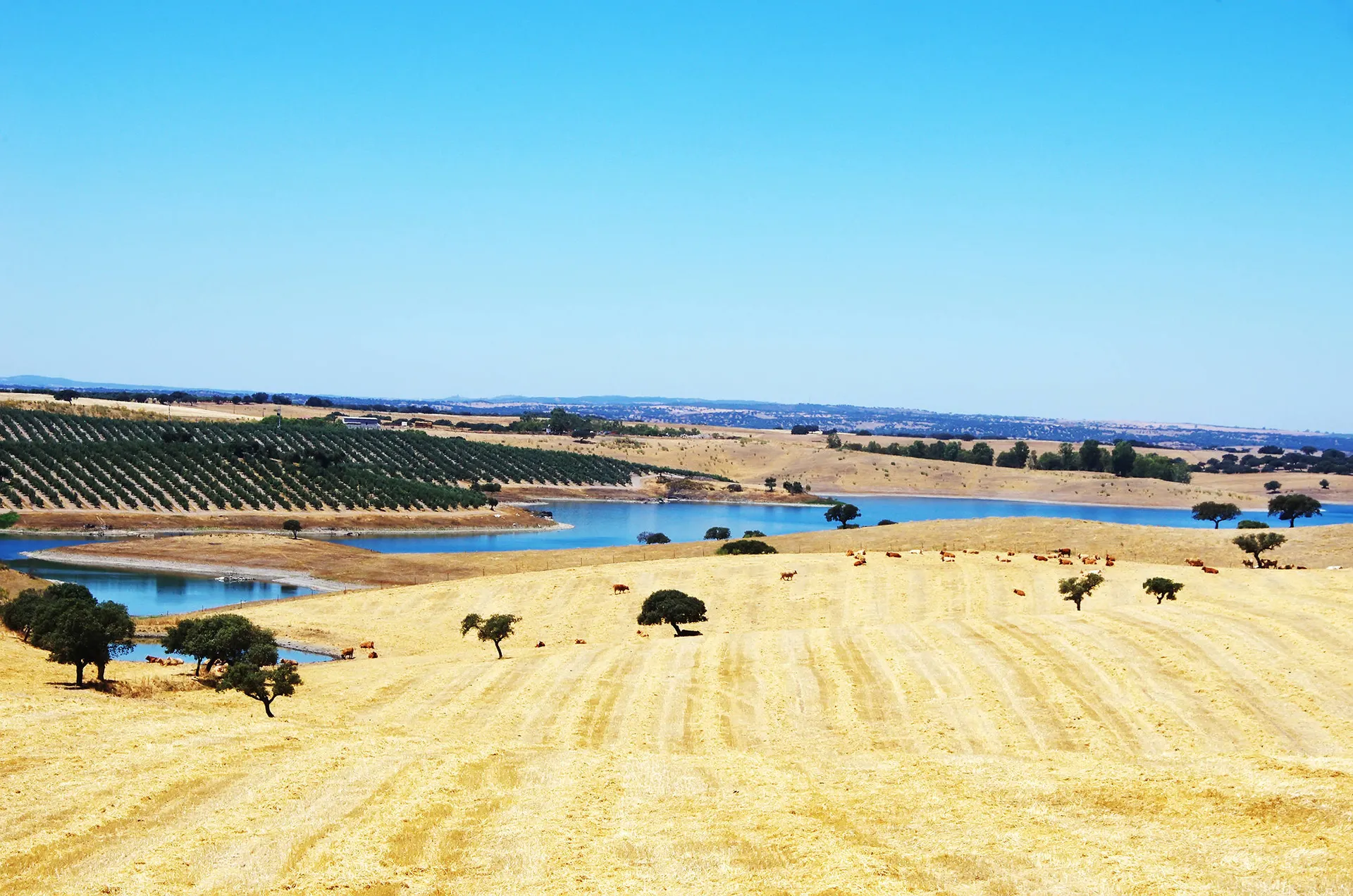 algarve-alentejo-en-lissabon