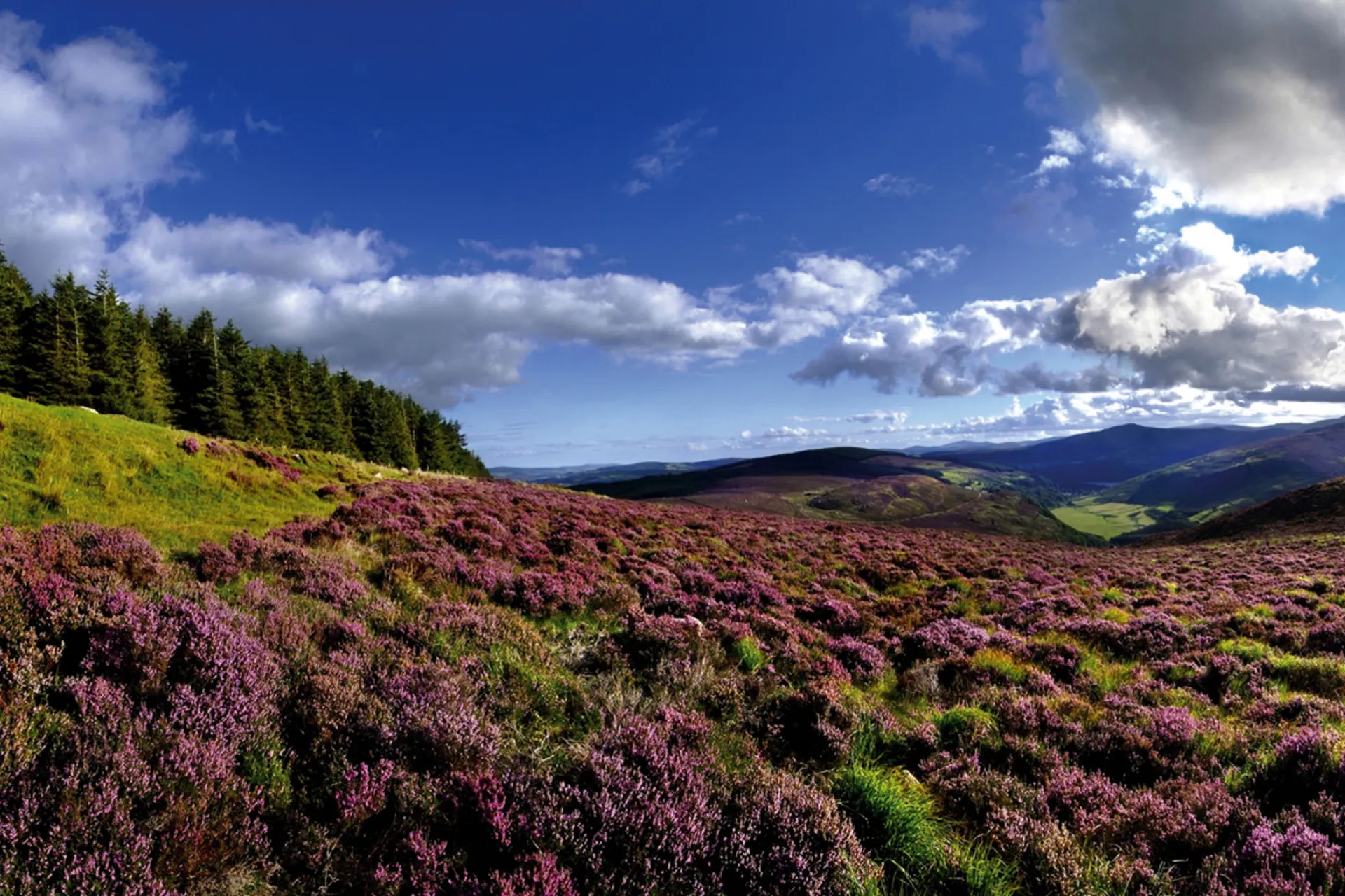 Maatwerk Ierland