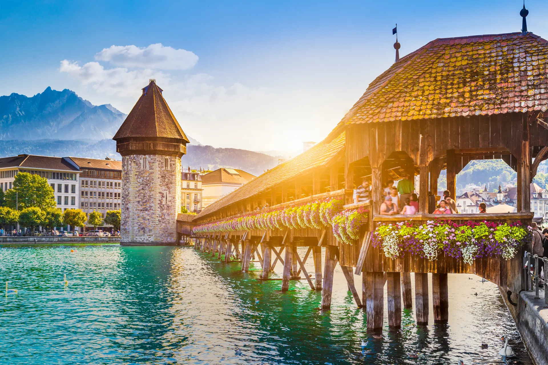Rail & Sail: Golden Pass Panorama Express & Vierlandencruise Dalvaart afbeelding 2