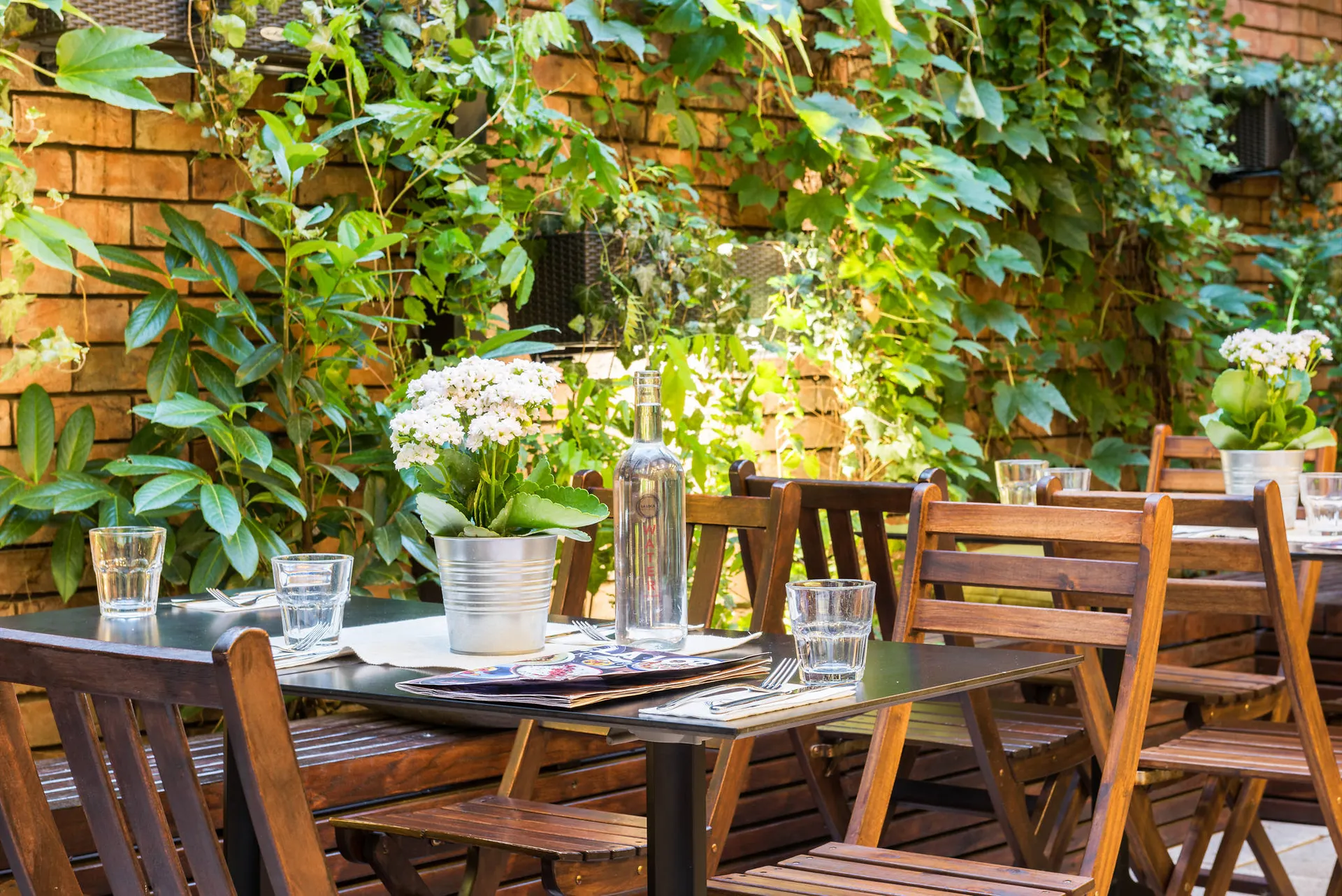 Terras