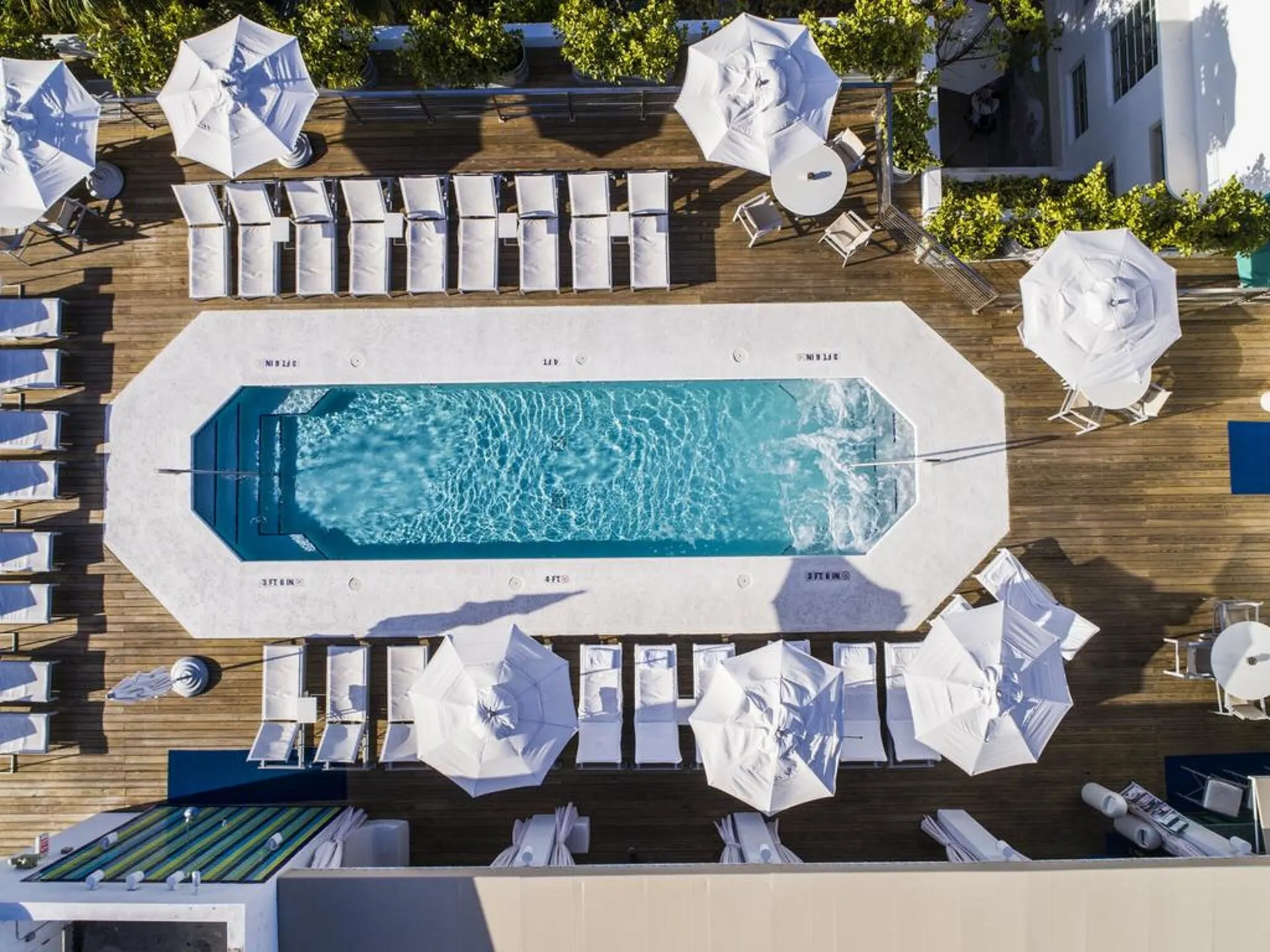 The Tony Hotel South Beach.