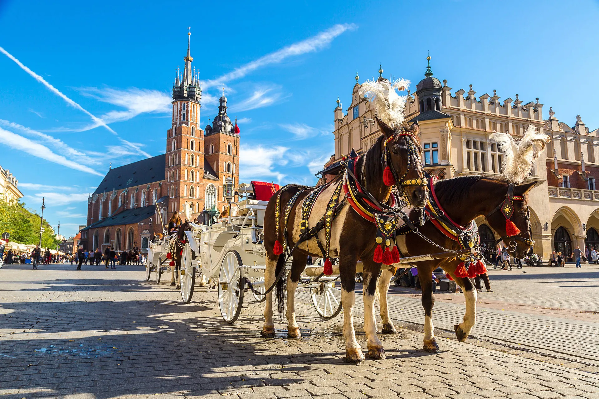 Online bestellen: Ontdek Krakau