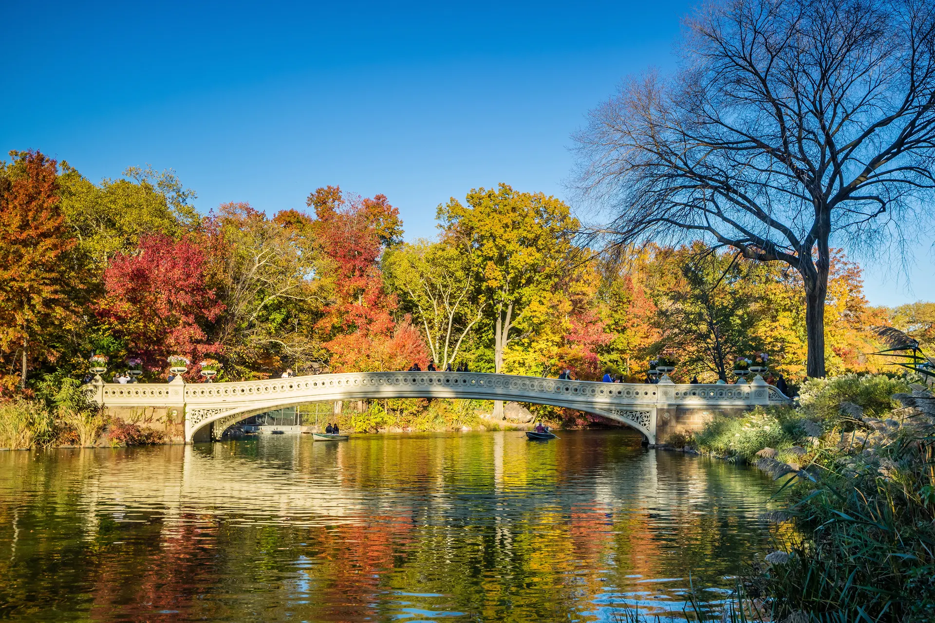 Stedentrip New York, Central Park, New York, Verenigde Staten | de Jong Intra Vakanties