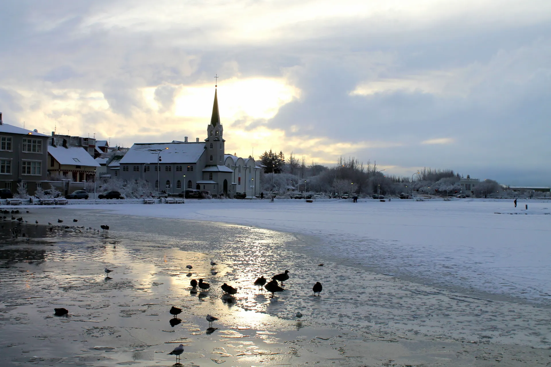 Reykjavik - winteraanzicht
