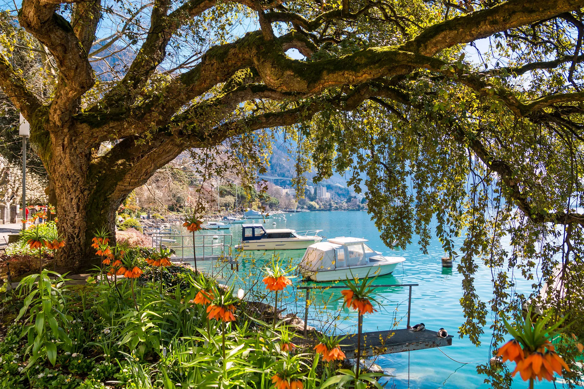 Rail & Sail: Vierlandencruise Bergvaart & Golden Pass Panorama Express