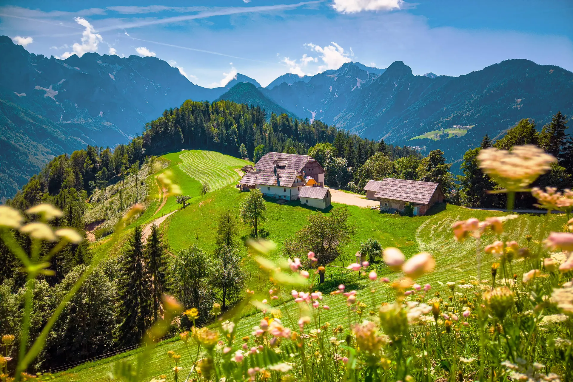 Ontdek West-Slovenië