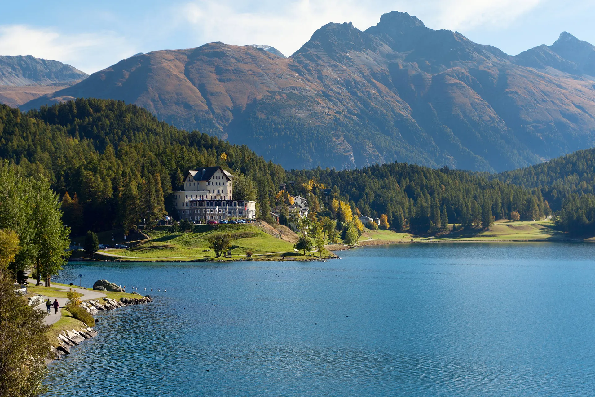 Ontdek de Zwitserse Alpen en Bernina Express vanuit Dav