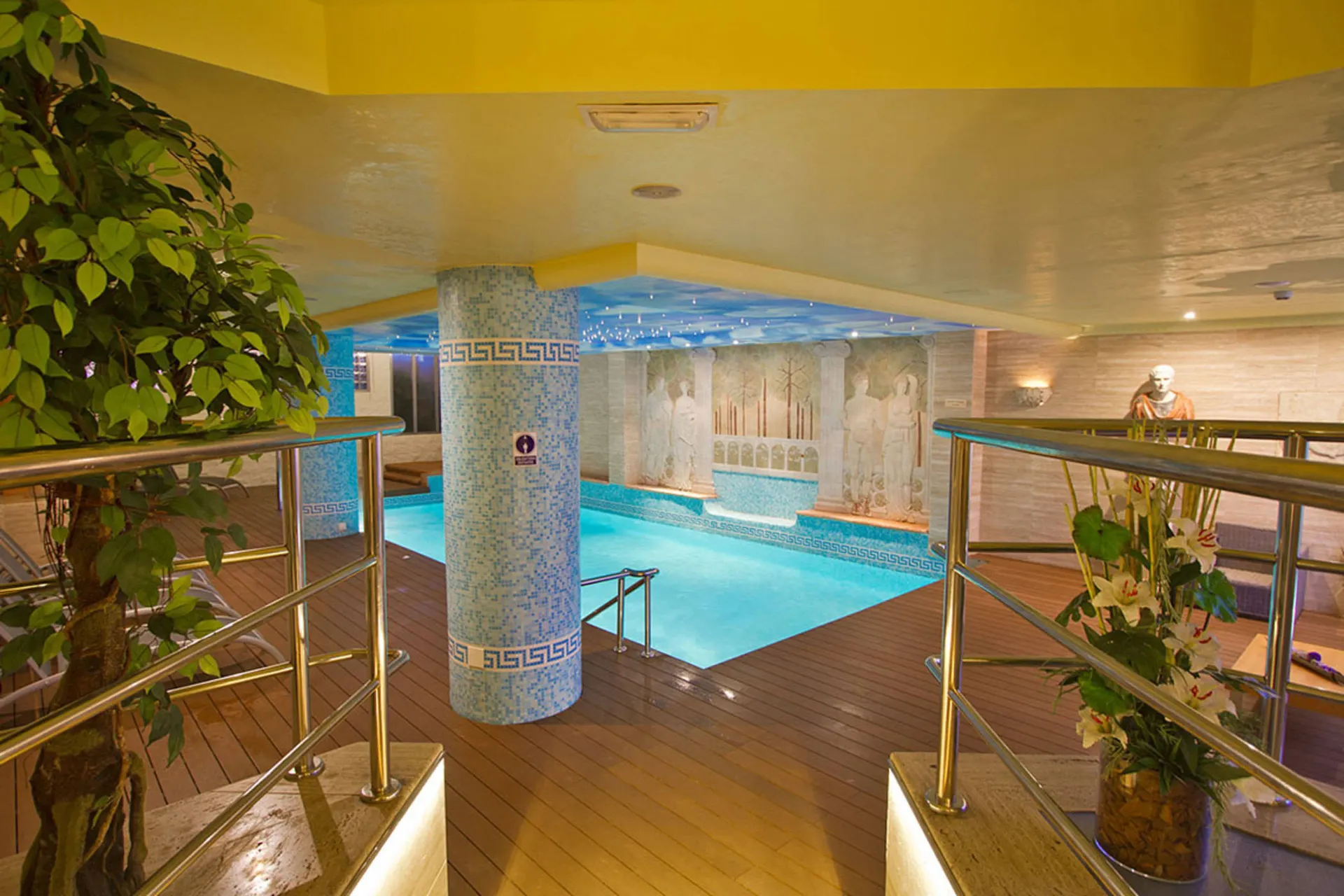 Wellness