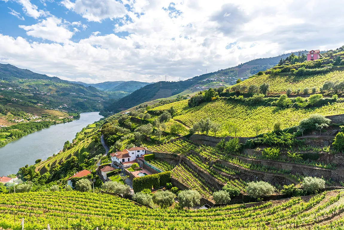 Douro met wijnranken