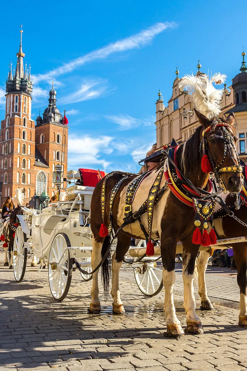 Polen/busreizen