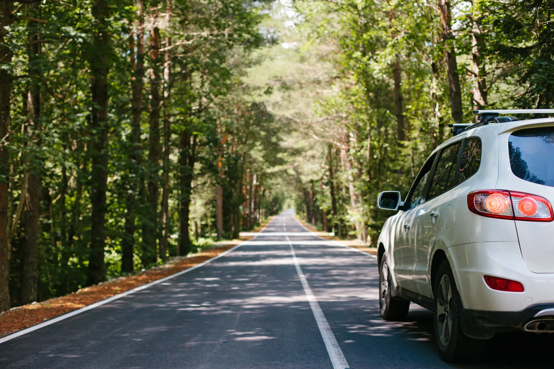 Stedentrip Europa met de auto