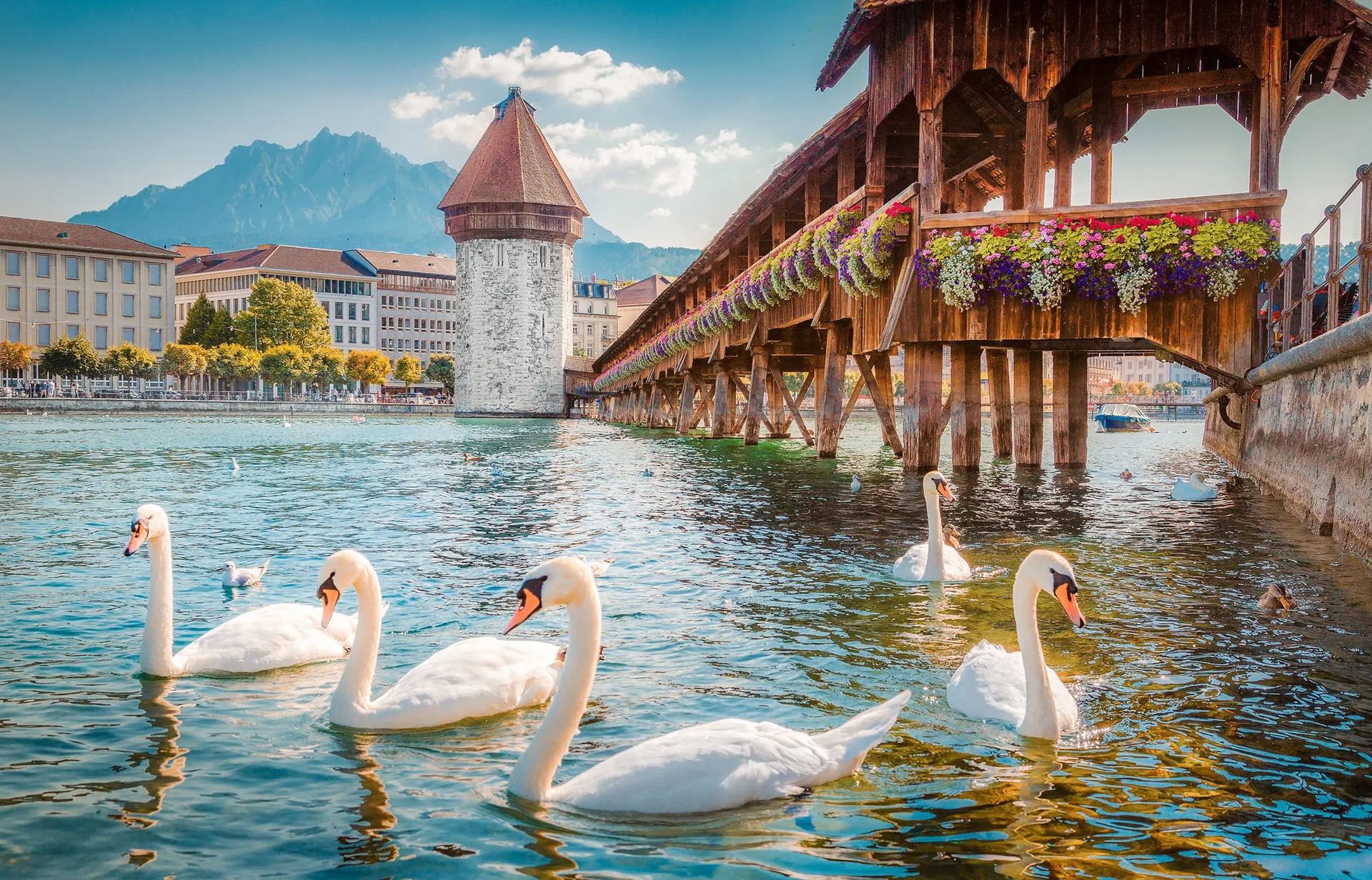 Grand Tour Zwitserland