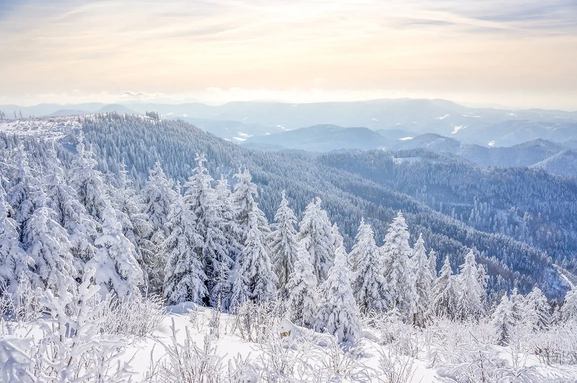 Winterlandschap