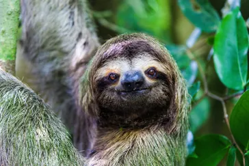 Manuel Antonio National Park, rondreis Costa Rica | de Jong Intra Vakanties