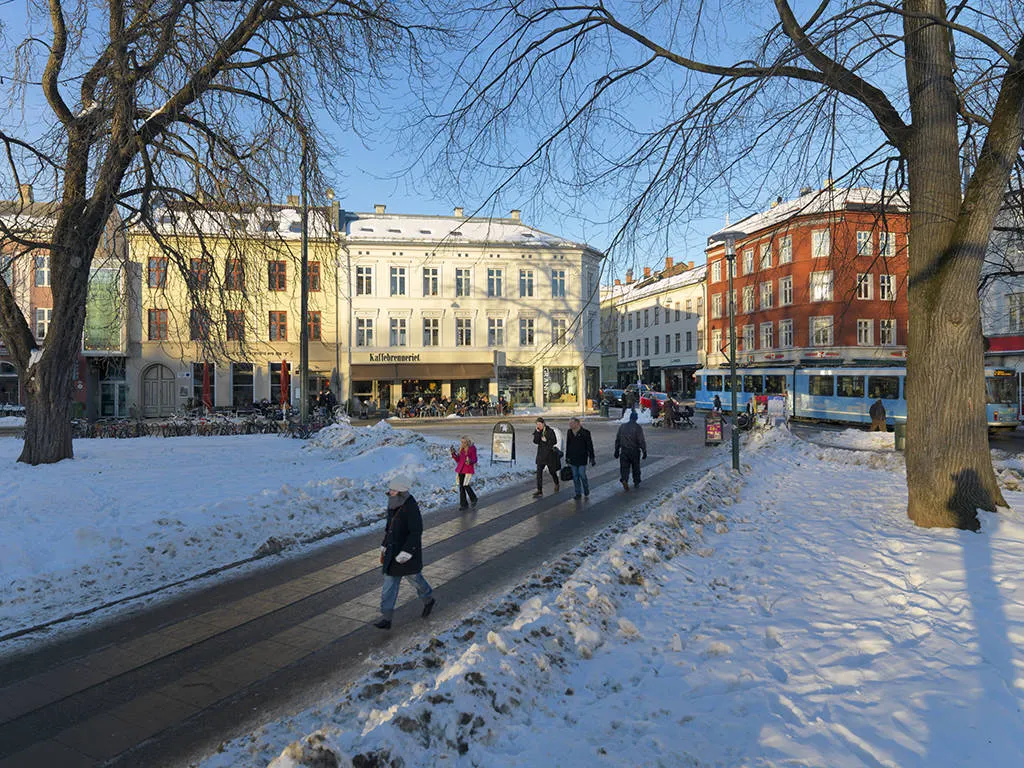 Noorwegen in een Notendop (winter)