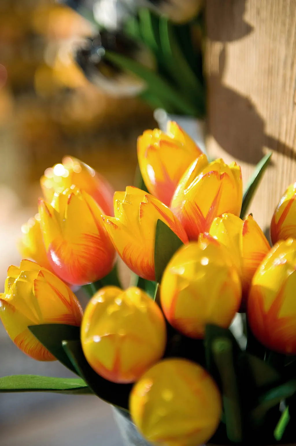 Tulpen