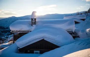 Sneeuwszeker - - Foto: Sverre F. Hjørnevik