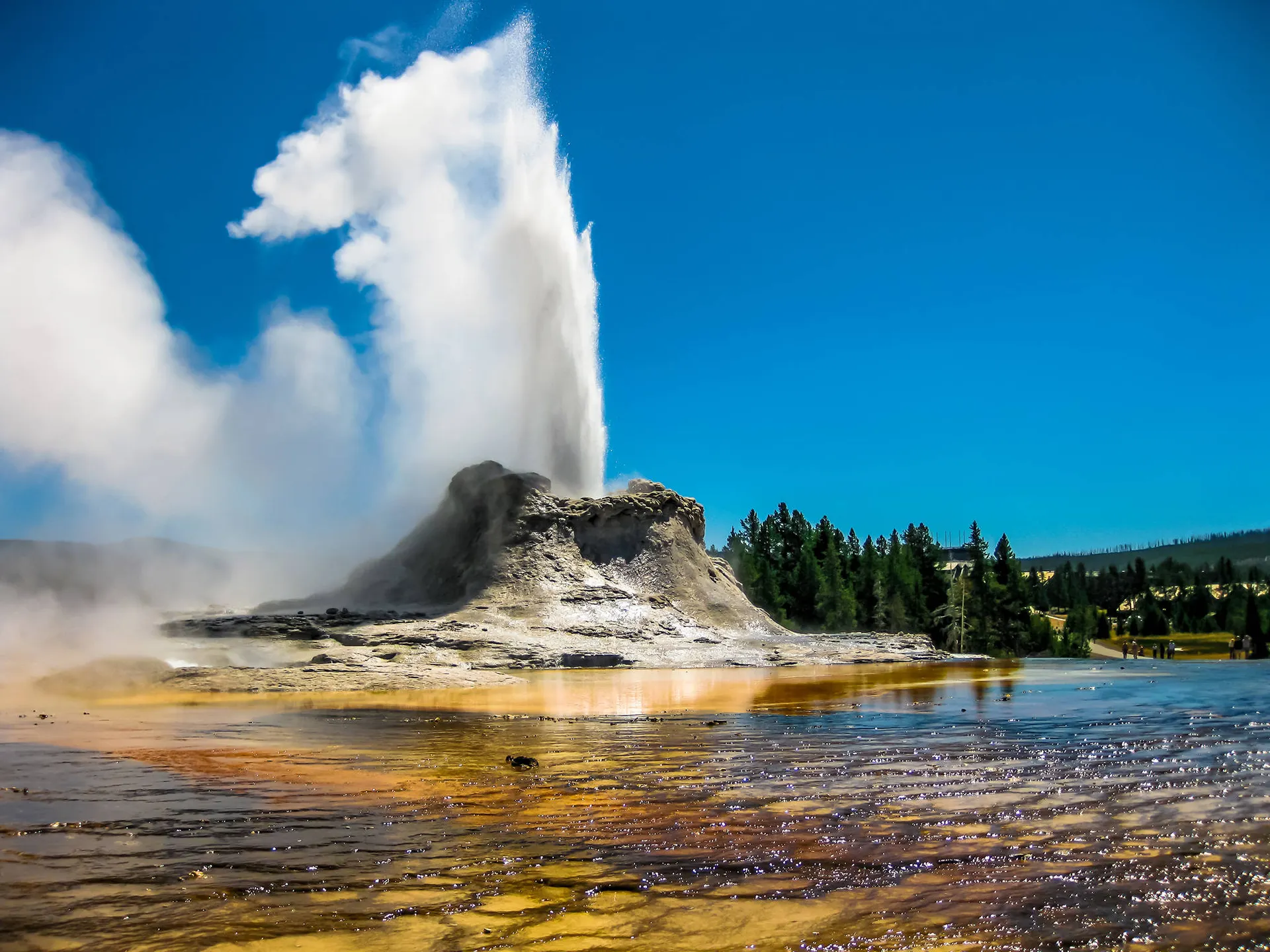 Yellowstone National Park