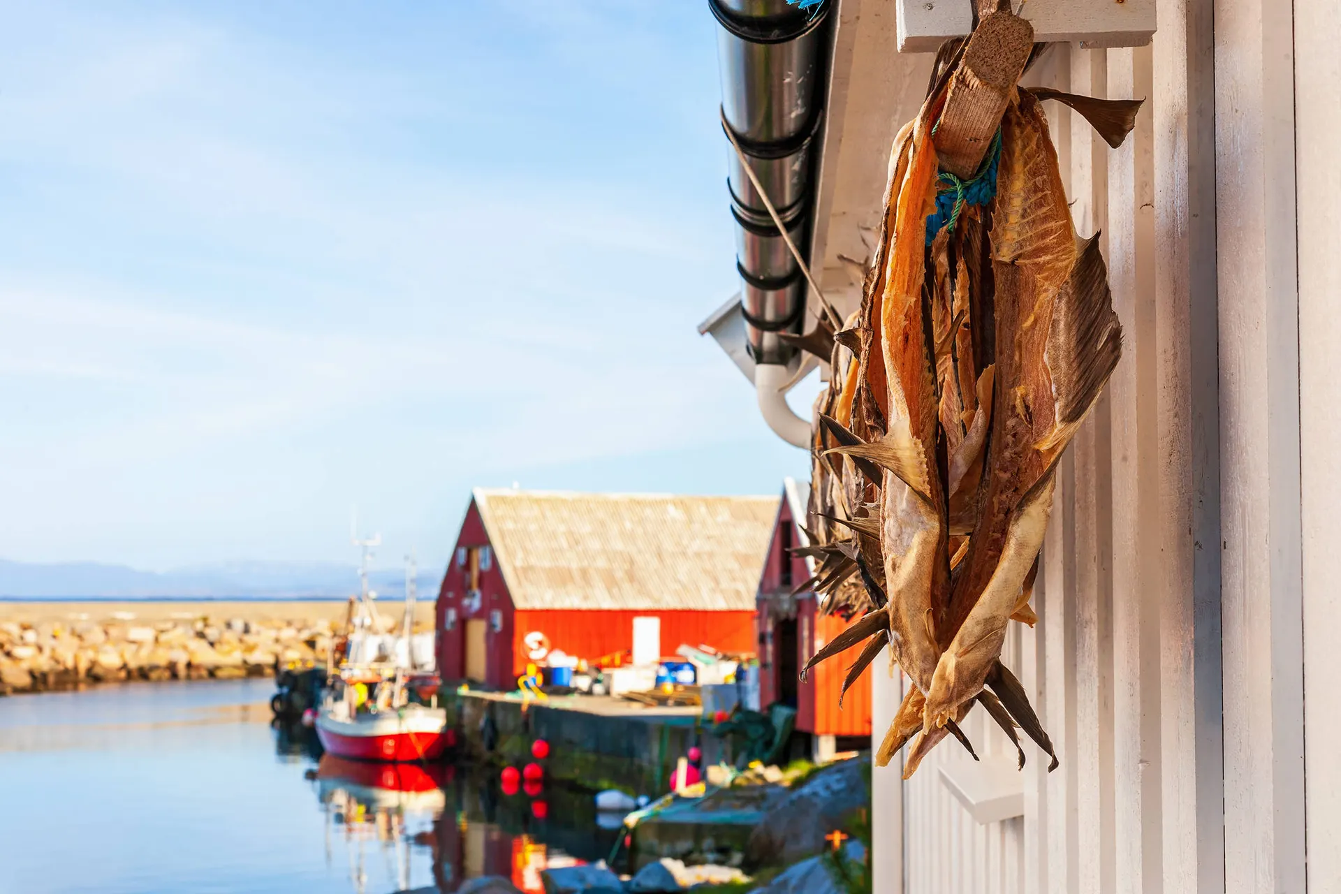 Ontdek Tromsø, Lofoten & Vesterålen