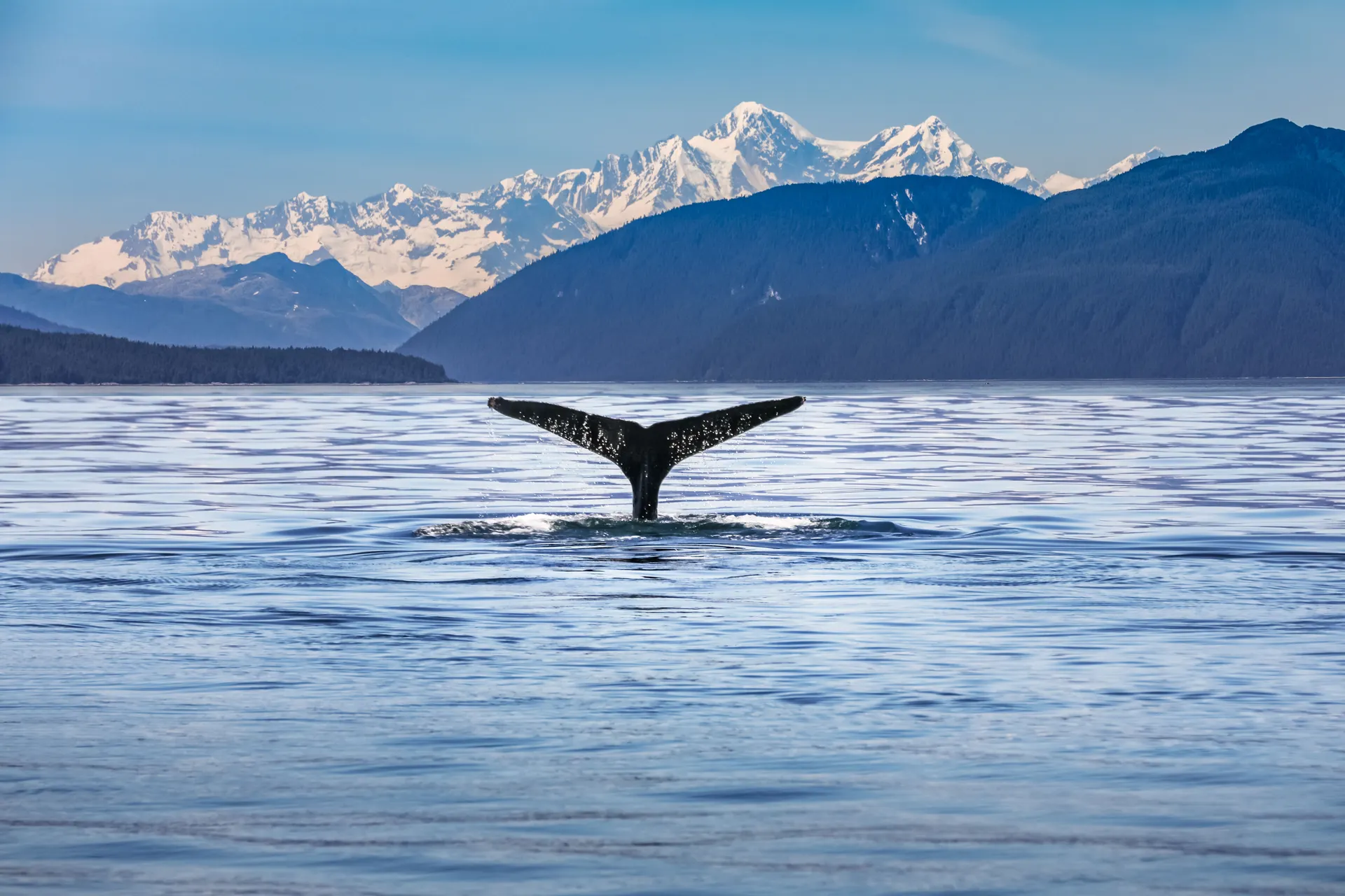 Grand Alaska Tour.