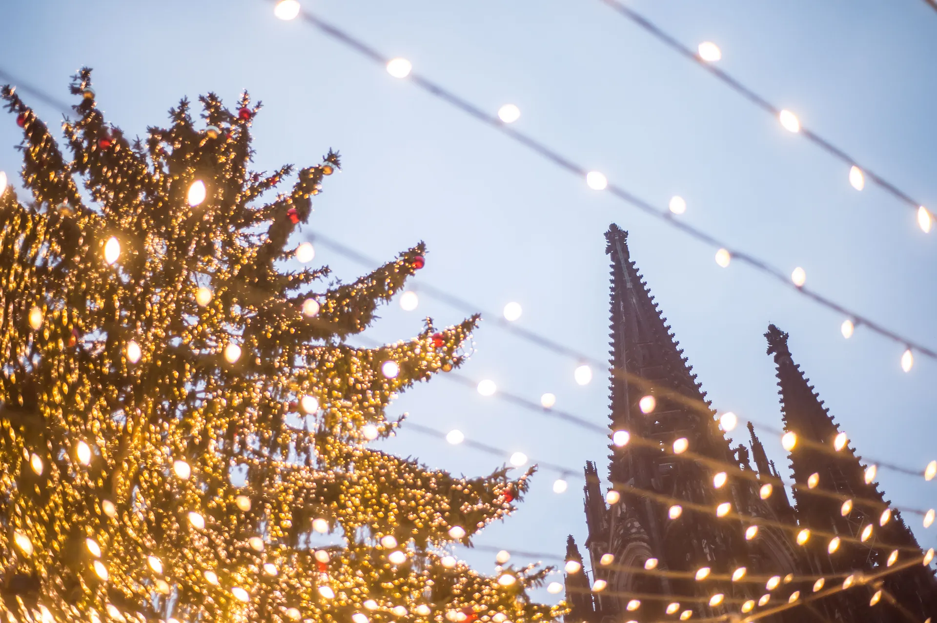 Kerstcruise over de Rijn afbeelding 4