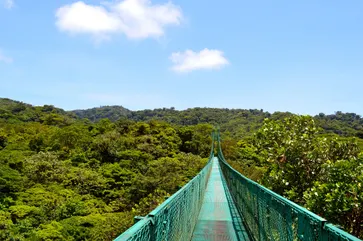 Monteverde Cloud Forest