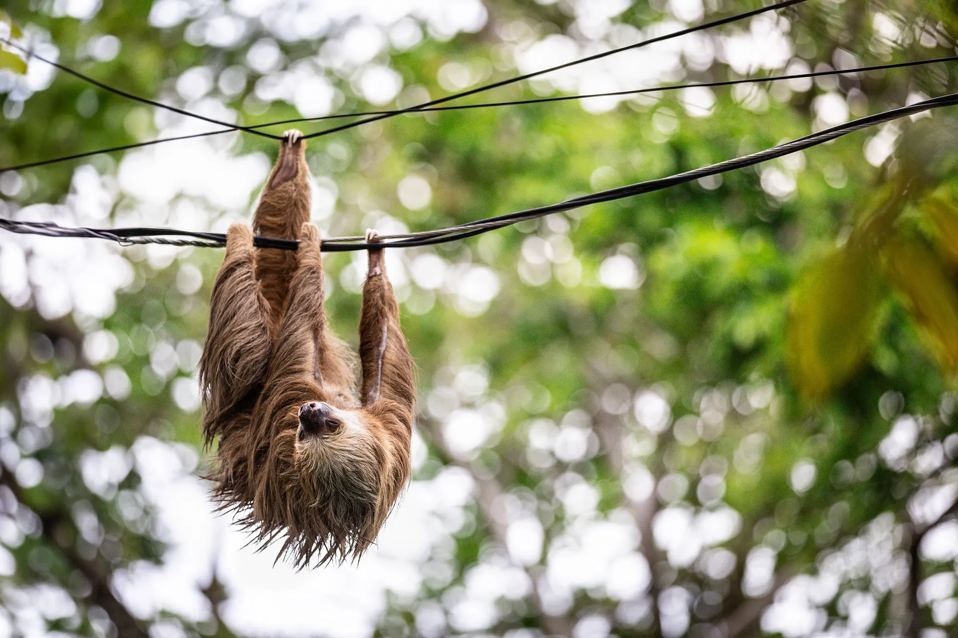 Costa Rica coast to coast