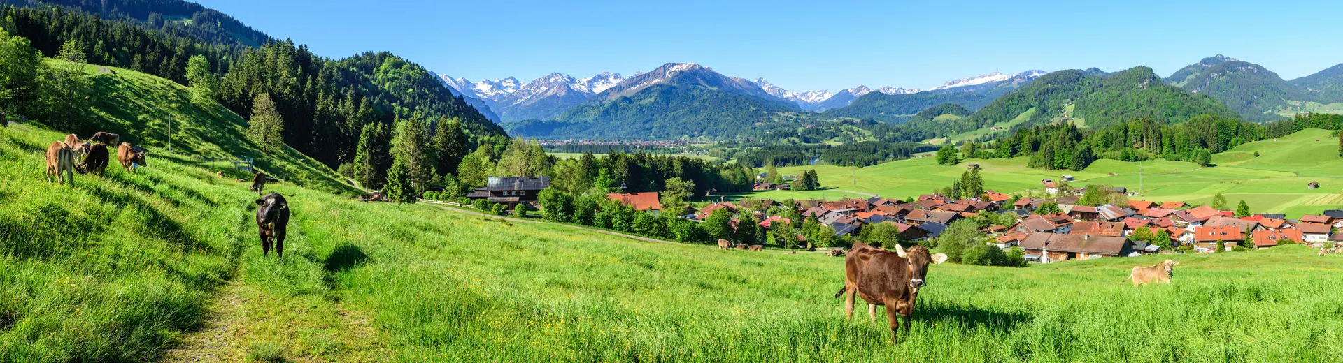 Beierse Alpen Duitsland hero