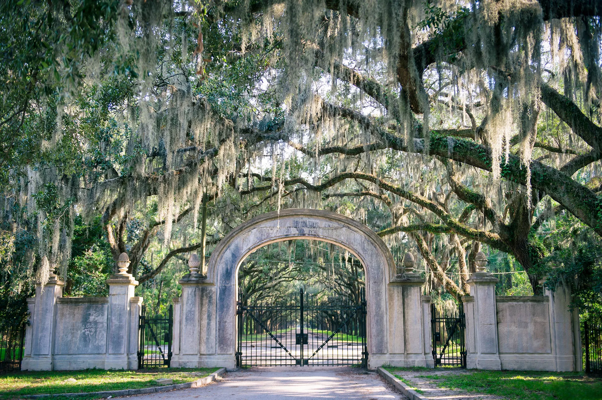 Savannah