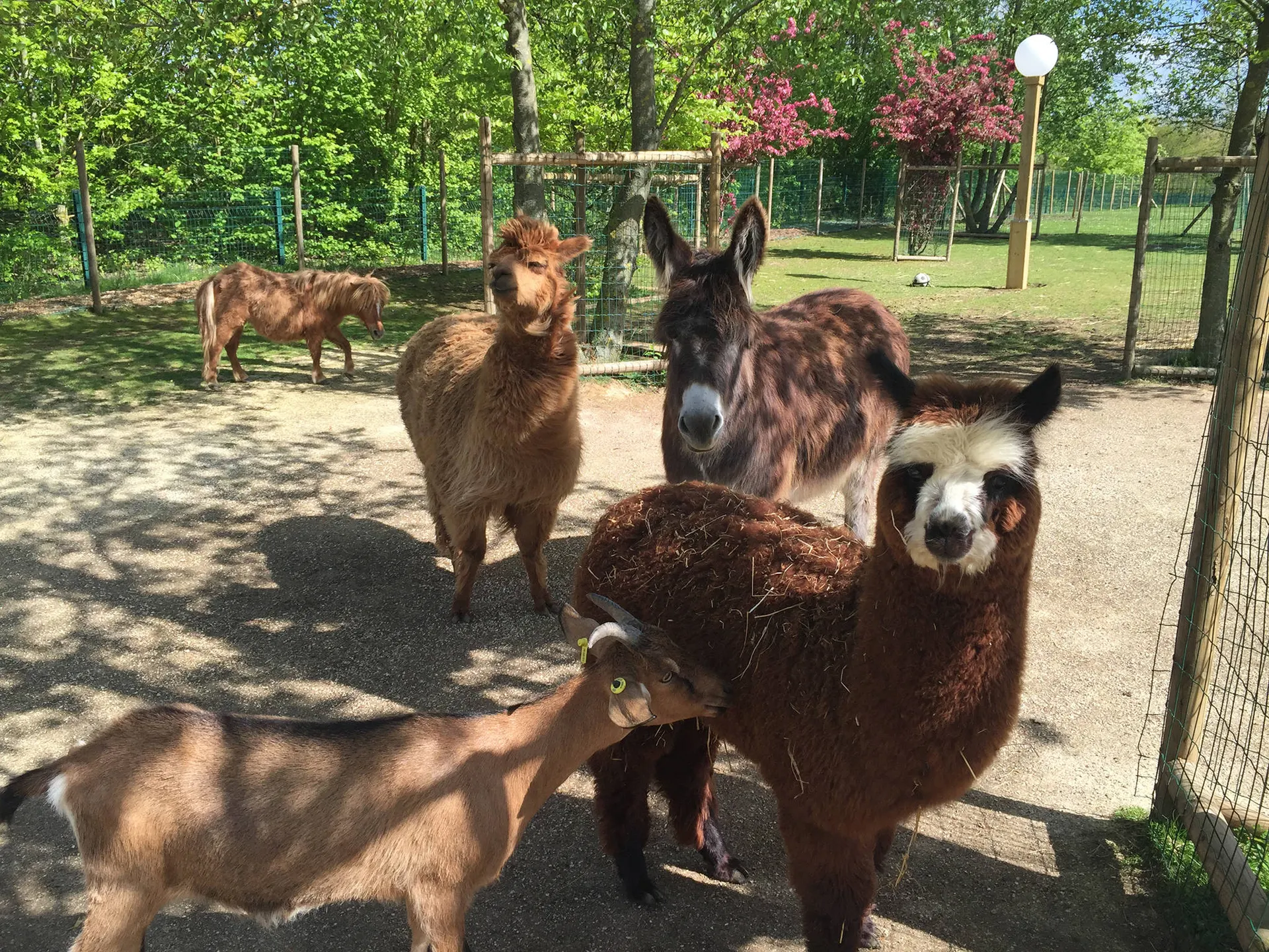 Kinderboerderij