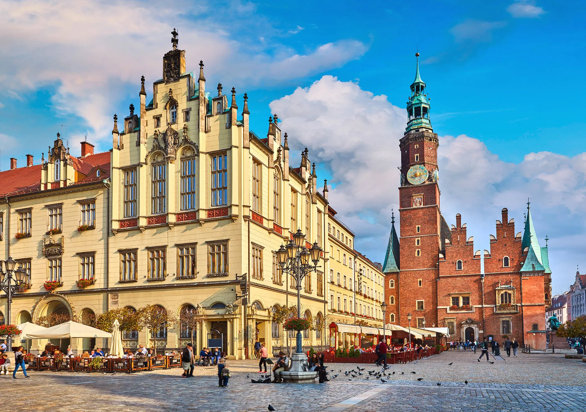 Online bestellen: Schatten van Zuid-Polen