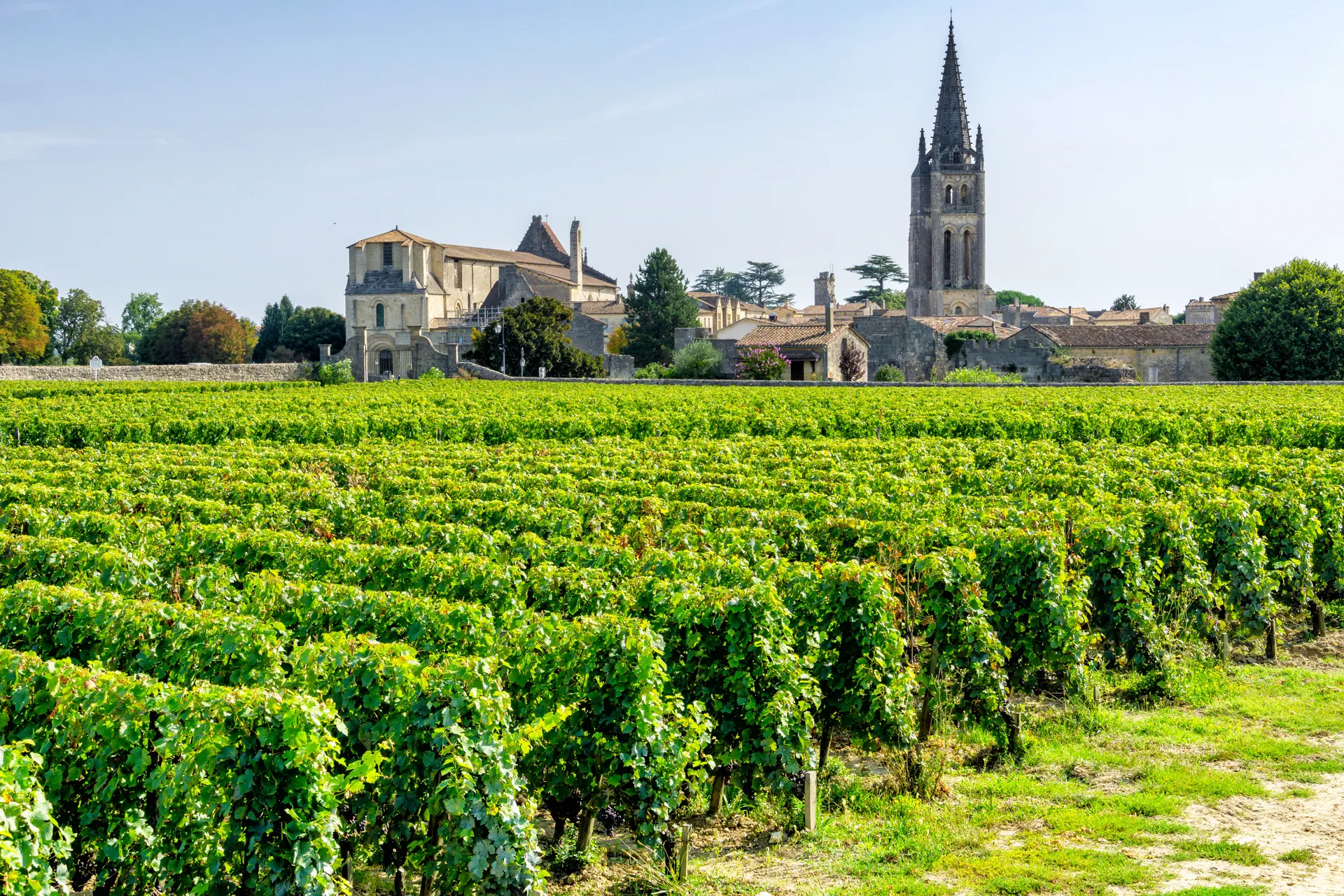 Dordogne, wijn en Bordeaux.