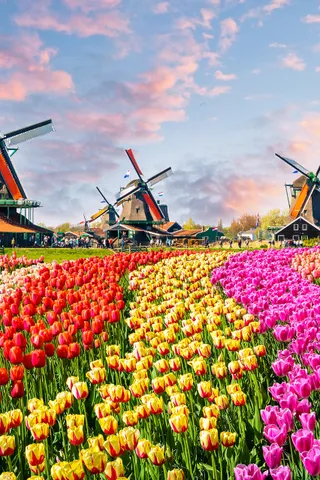 Vakantie Nederland