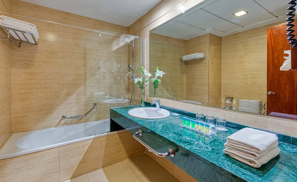 Hotel Senator Granada afbeelding 4