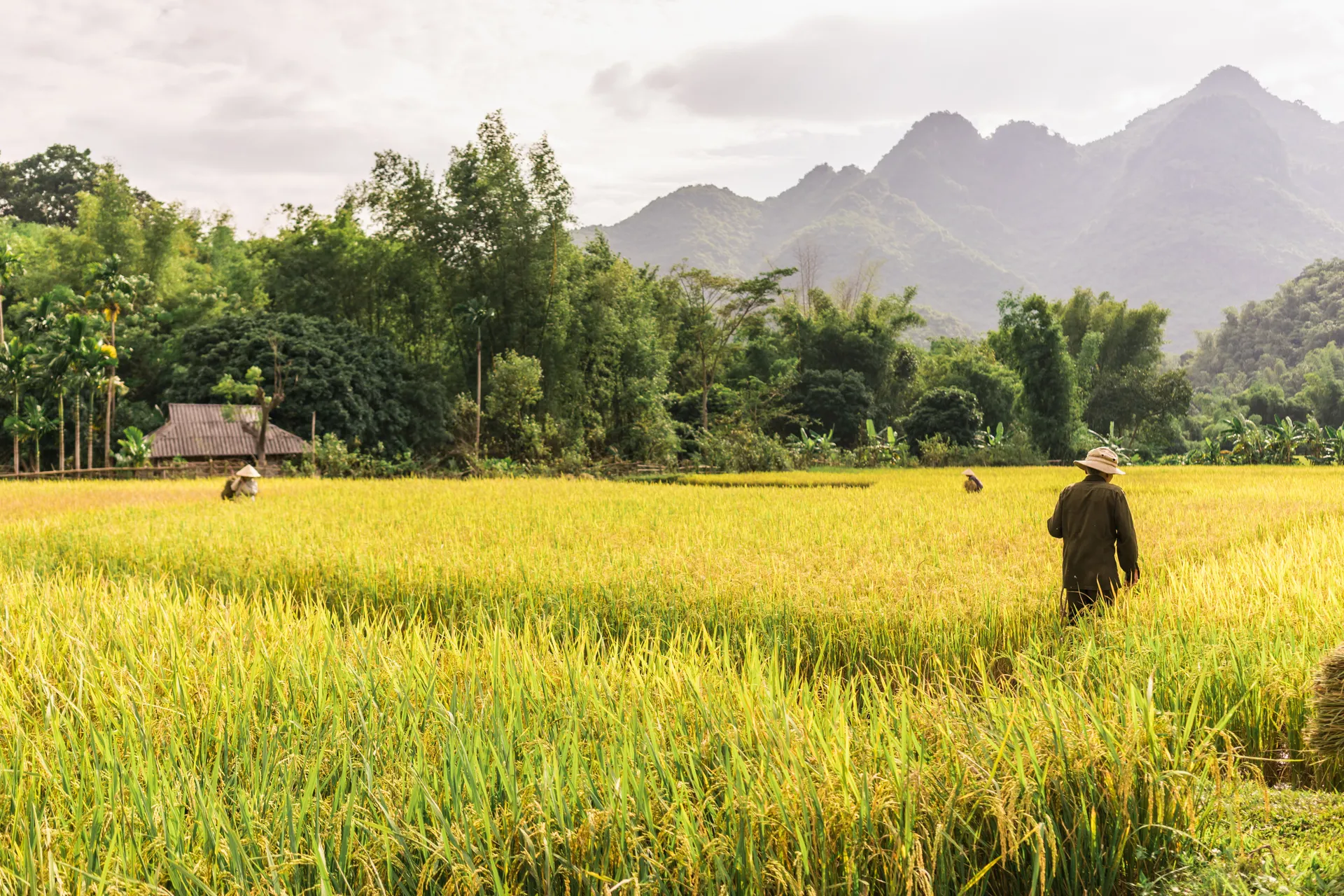 Authentiek Noord-Vietnam.