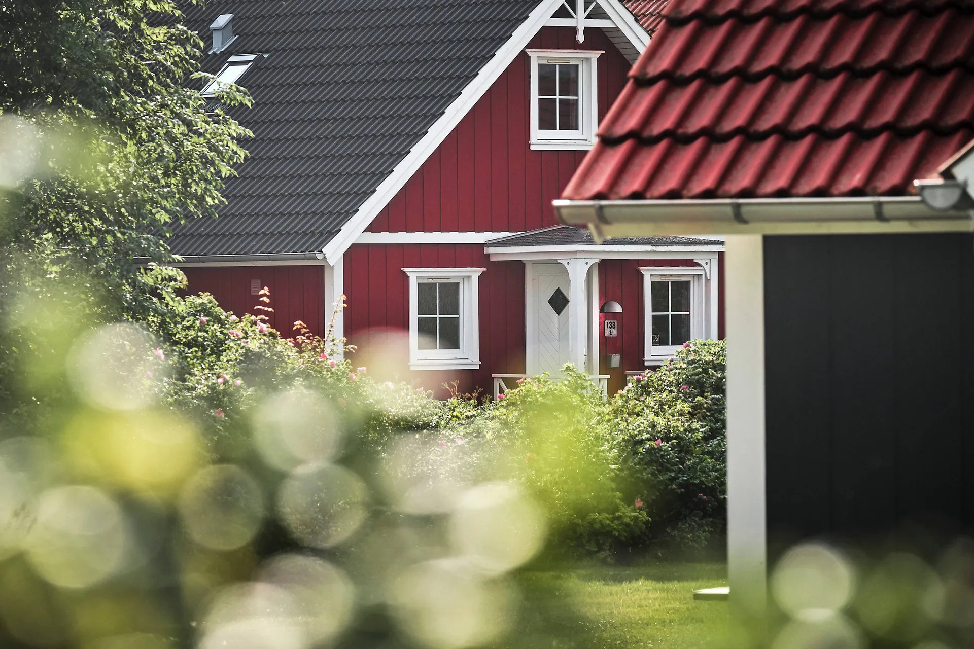 Nordic Plus 8