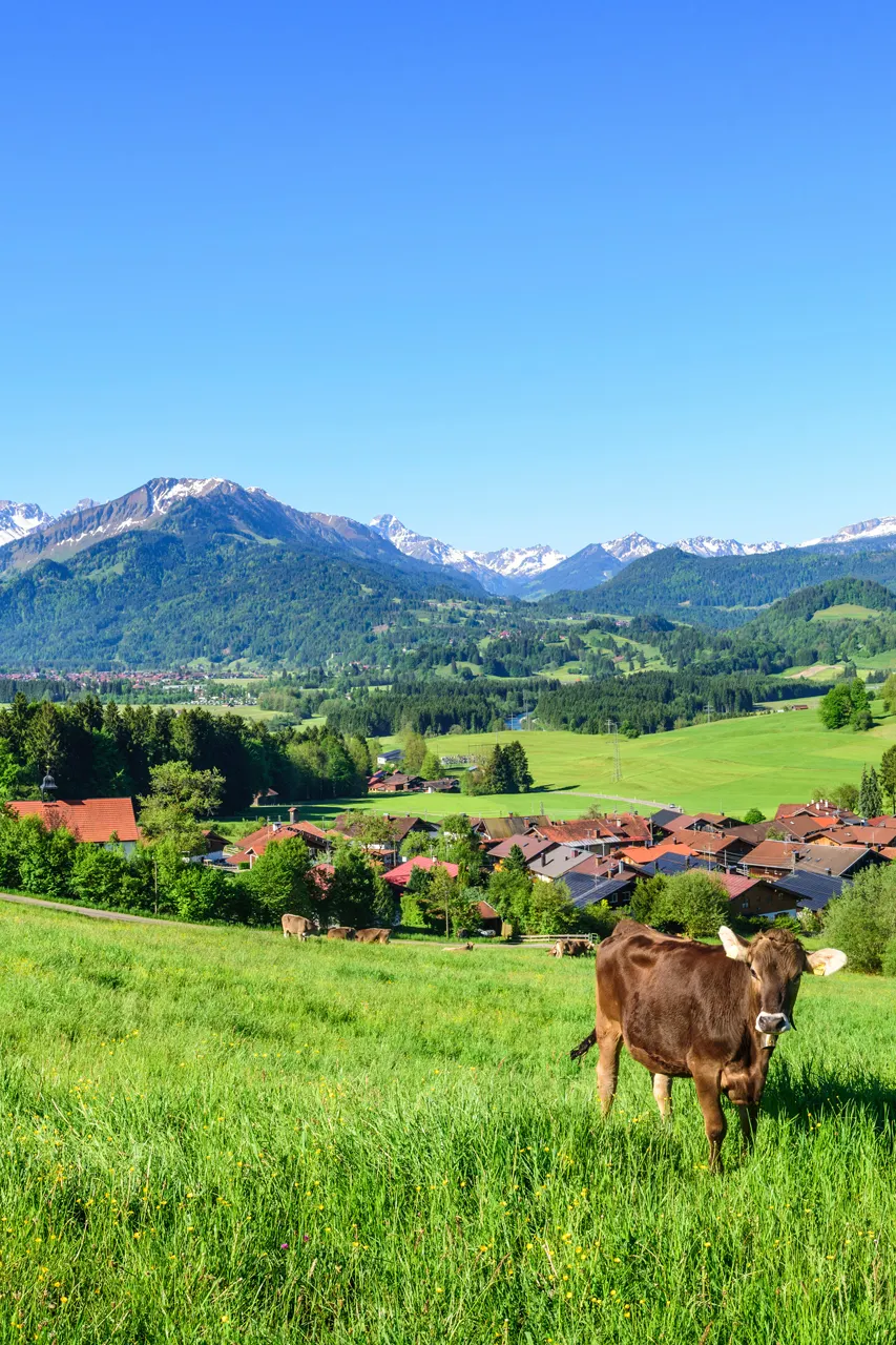 Beierse Alpen Duitsland portrait