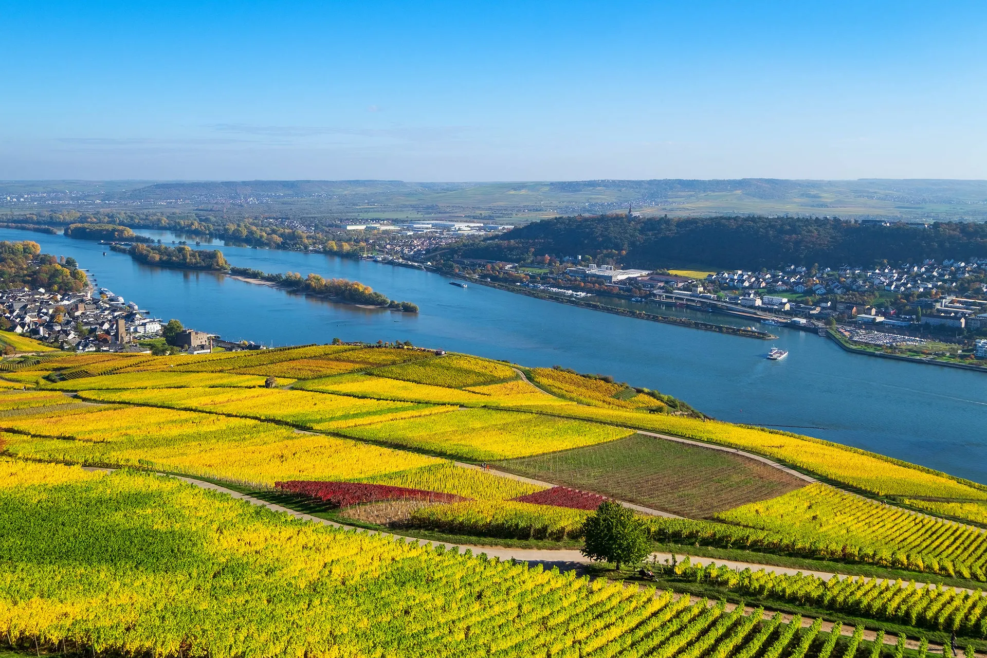 Online bestellen: Rijnromantiek naar Rüdesheim met de mps Serenade 2