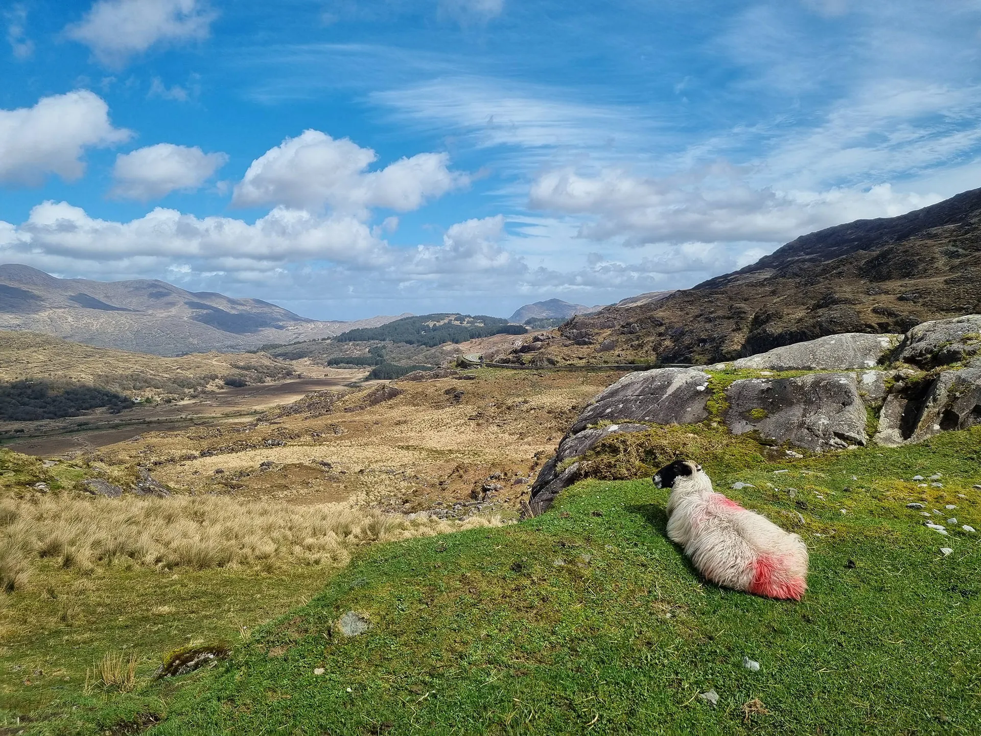Ring of Kerry, Ierland