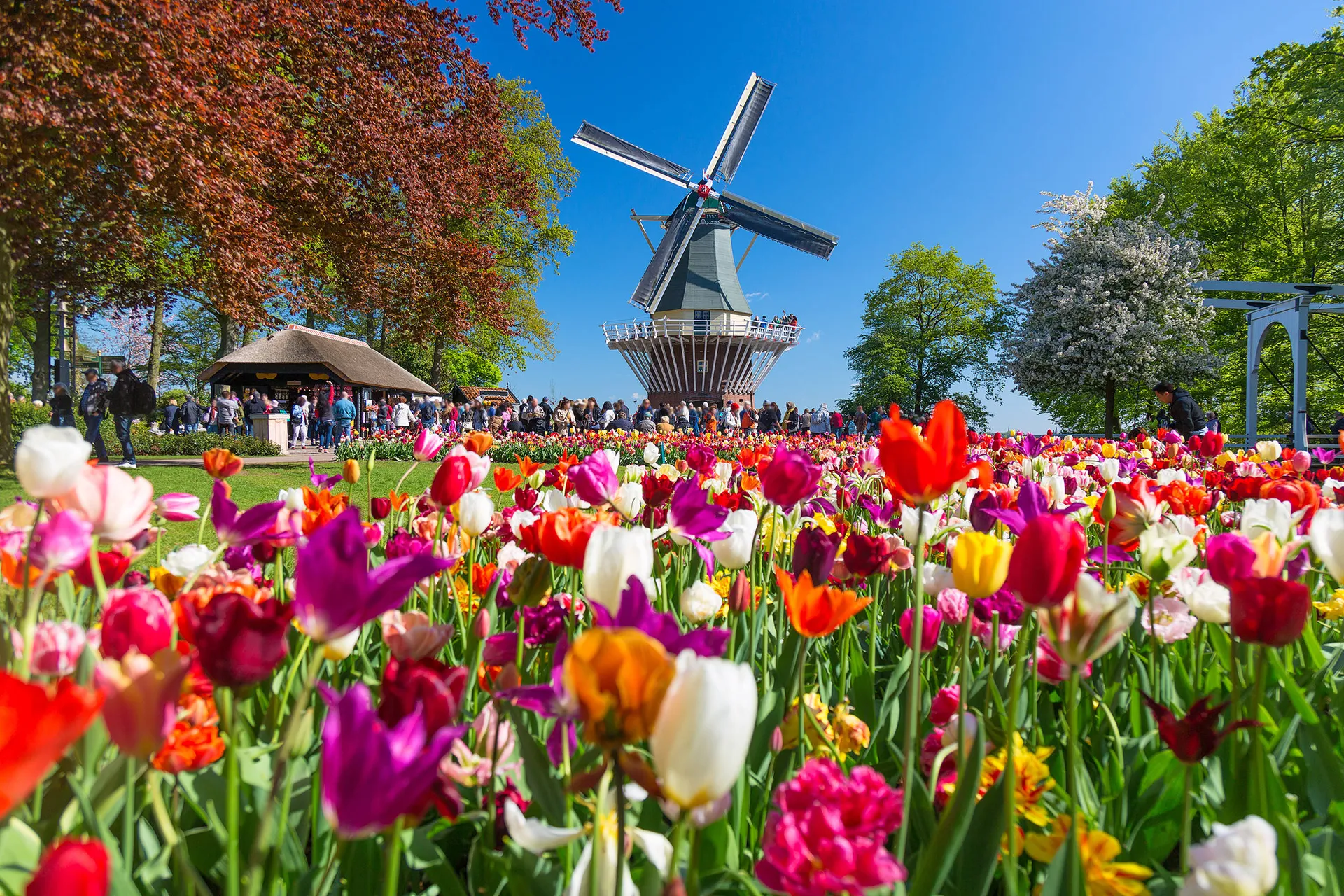 Online bestellen: De Gouden Cirkel