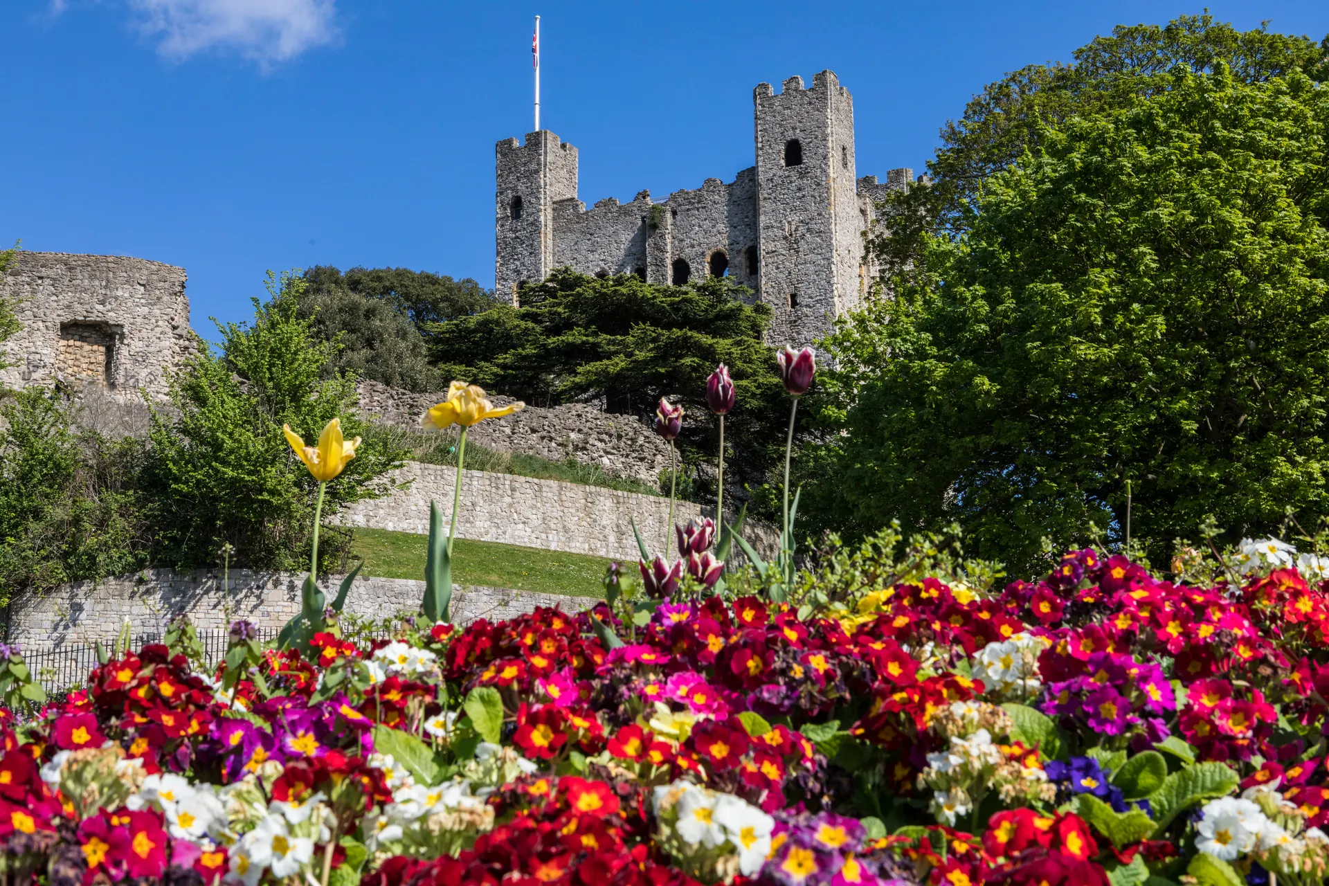 Rochester Castle- AdobeStock 145469238