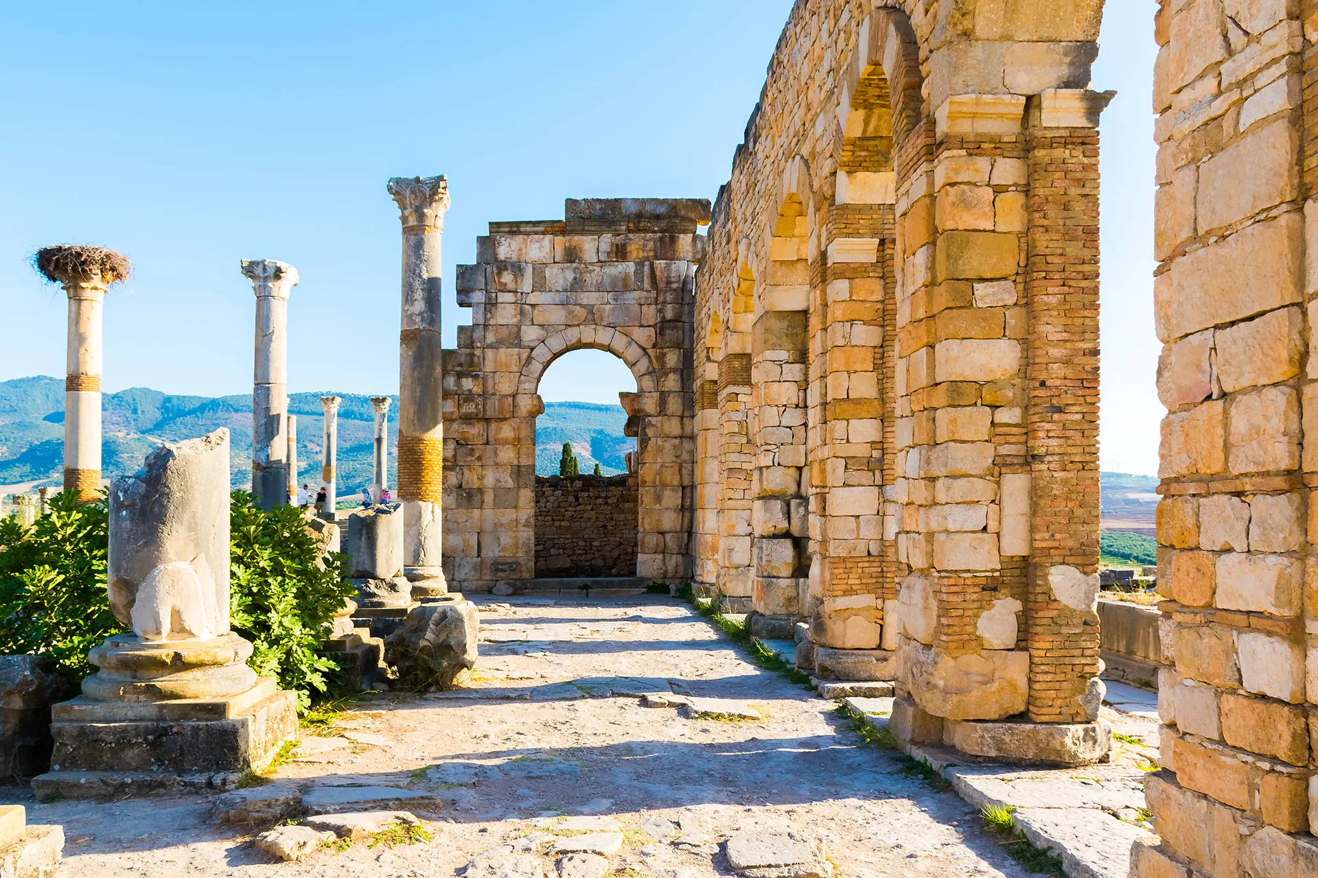 Ruïnes van de Romeinse stad Volubilis in Meknès