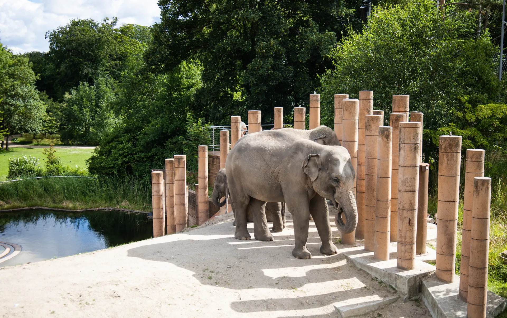 Stedentrip Kopenhagen, København Zoo, Kopenhagen, Denemarken | de Jong Intra Vakanties